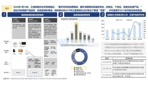 中國(guó)白酒出海及行業(yè)洞察 下